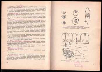 Vladislav Valach: Pathologická anatomie a fysiologie
