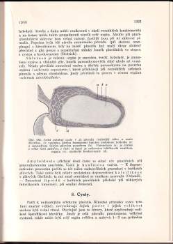 Václav Jedlička: Pathologická anatomie orgánů endokrinních