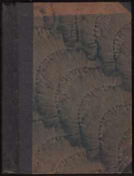 Jules Verne: Patnáctiletý kapitán