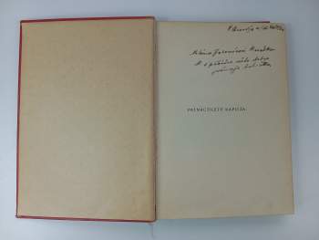 Jules Verne: Patnáctiletý kapitán