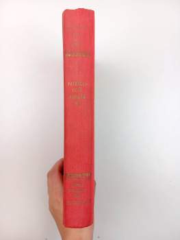 Jules Verne: Patnáctiletý kapitán