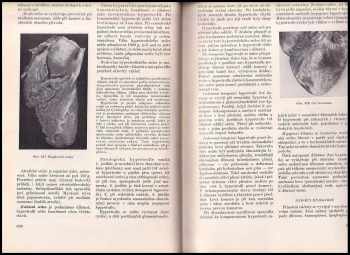 Blahoslav Bednář: Patologická anatomie