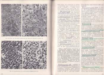 Blahoslav Bednář: Patologie