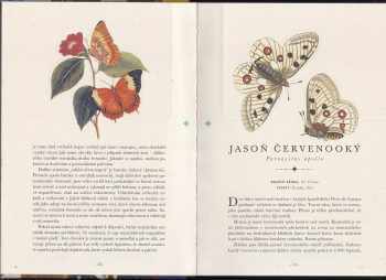 James Lowen: Pavilon motýlů