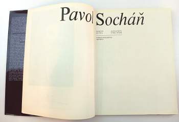 Martin Slivka: Pavol Socháň