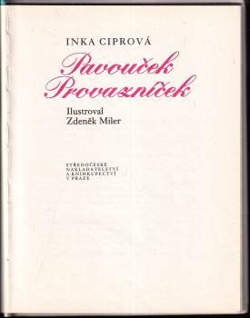 Inka Ciprová: Pavouček Provazníček