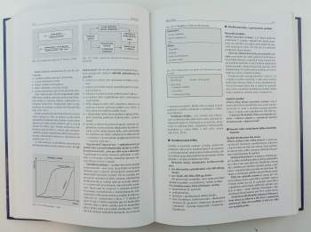 Otto Hrodek: Pediatrie