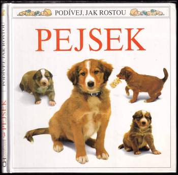 Pejsek