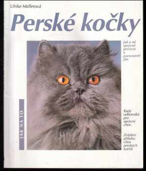 Perské kočky