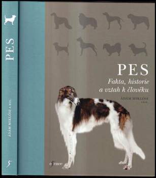 Claudia Fugazza: Pes