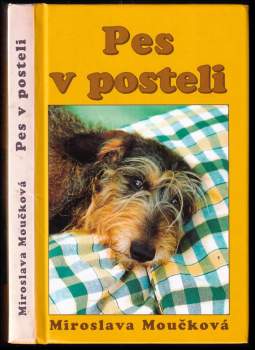 Pes v posteli