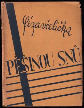 Pěšinou snů