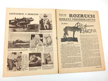 Th. Polter: Pěst zákona - Rozruch 178, ročník IV., č. 21.