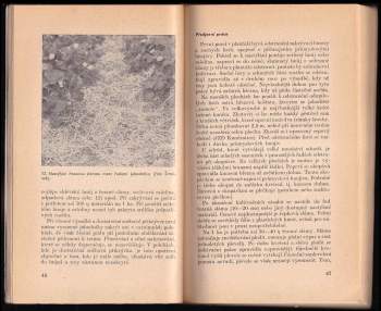 Josef Luža: Pěstování a zužitkování drobného ovoce