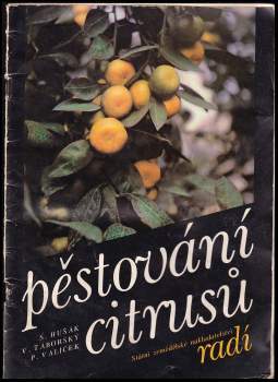 Pěstování citrusů