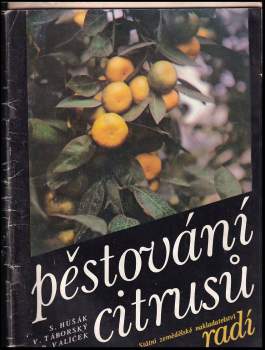 Pěstování citrusů