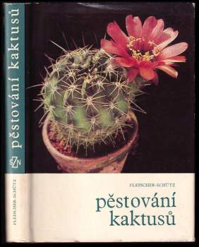 Pěstování kaktusů