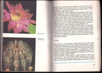 Zdeněk Fleischer: Pěstování kaktusů