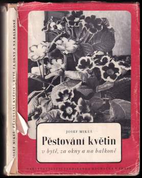 Pěstování květin v bytě, za okny a na balkoně