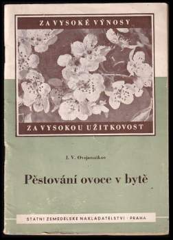 Pěstování ovoce v bytě