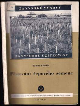 Pěstování řepového semene