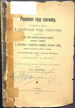 Pěstování řepy cukrovky