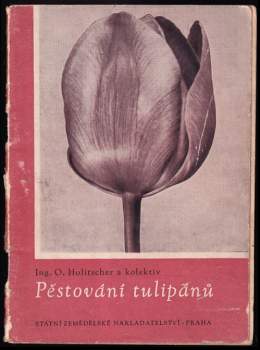 Jaroslav Flajšner: Pěstování tulipánů