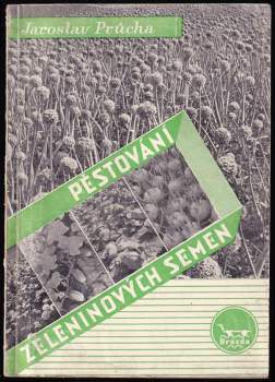 Pěstování zeleninových semen