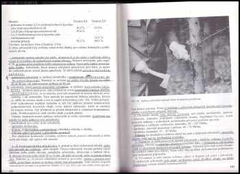 Štefan Korpeľ: Pestovanie lesa
