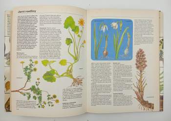 Luděk J Dobroruka: Pestrá příroda