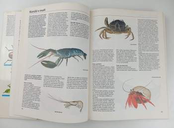 Luděk J Dobroruka: Pestrá příroda