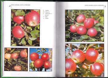 Jan Blažek: Pěstujeme jabloně