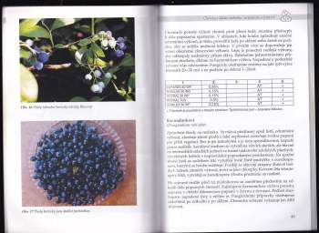 Jan Kopřiva: Pěstujeme maliny, ostružiny a borůvky