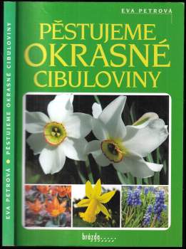 Pěstujeme okrasné cibuloviny