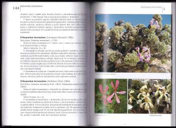 Jan Gratias: Pěstujeme pelargonie