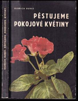 Pěstujeme pokojové květiny