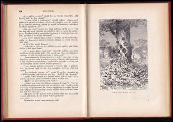 Jules Verne: Pět neděl v baloně