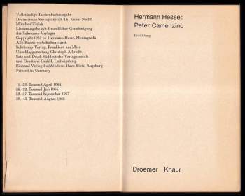 Hermann Hesse: Peter Camenzind