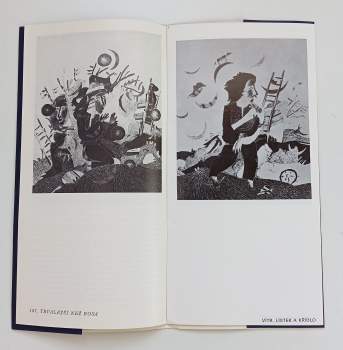 Petr Gulin - Ilustrace