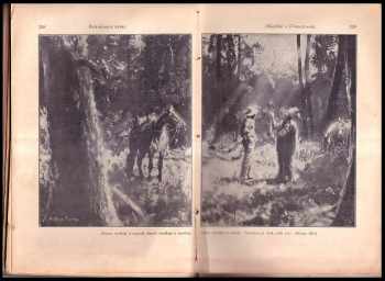 Karl May: Petrolejový princ