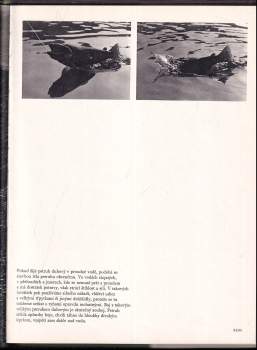 Sláva Štochl: Petrův zdar!