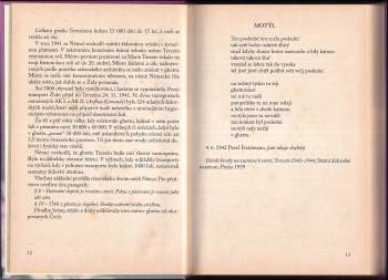 Jana Renée Friesová: Pevnost mého mládí