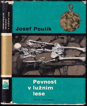 Pevnost v lužním lese