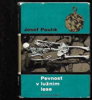 Pevnost v lužním lese