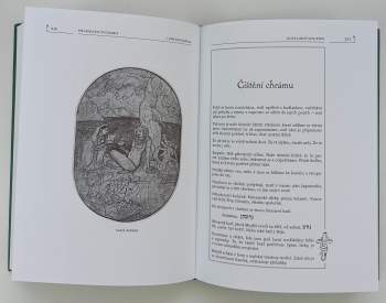 Pharmako dynamis : excitanty a empatogenika ; [moc rostlin a cesta jedů]