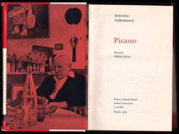 Antonina Vallentin: Picasso
