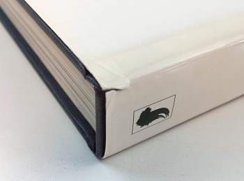 Philippe Roberts-Jones: Pieter Bruegel starší