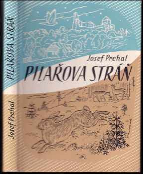 Josef Prchal: Pilařova stráň : Bílý jestřáb