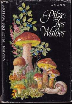 Pilze des Waldes