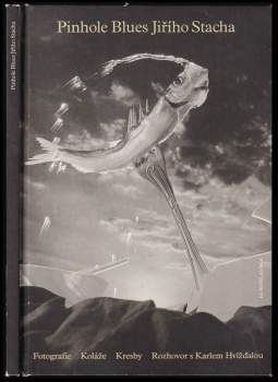 Karel Hvízd'ala: Pinhole Blues Jiřího Stacha